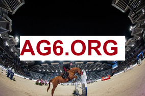 焦点场直播：图卢兹 vs 昂热